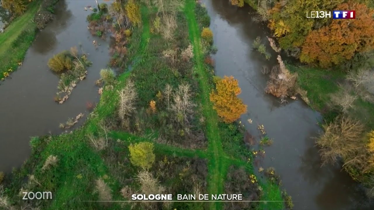 Découvrez les marais de Sologne, un bain de nature au cœur de la France