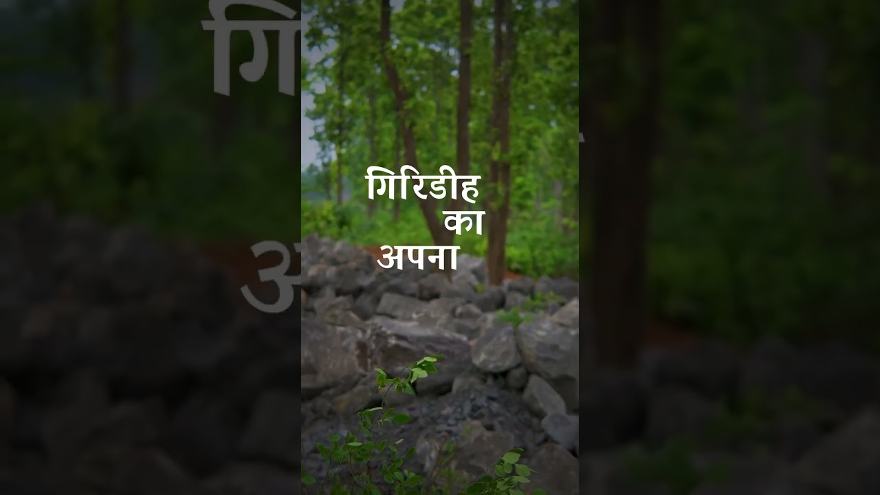 Giridih's own zoo
