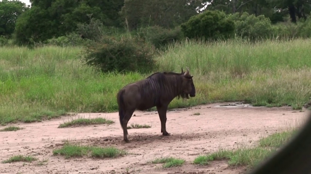 Zuid Afrika 2014 rondreis: deel 1