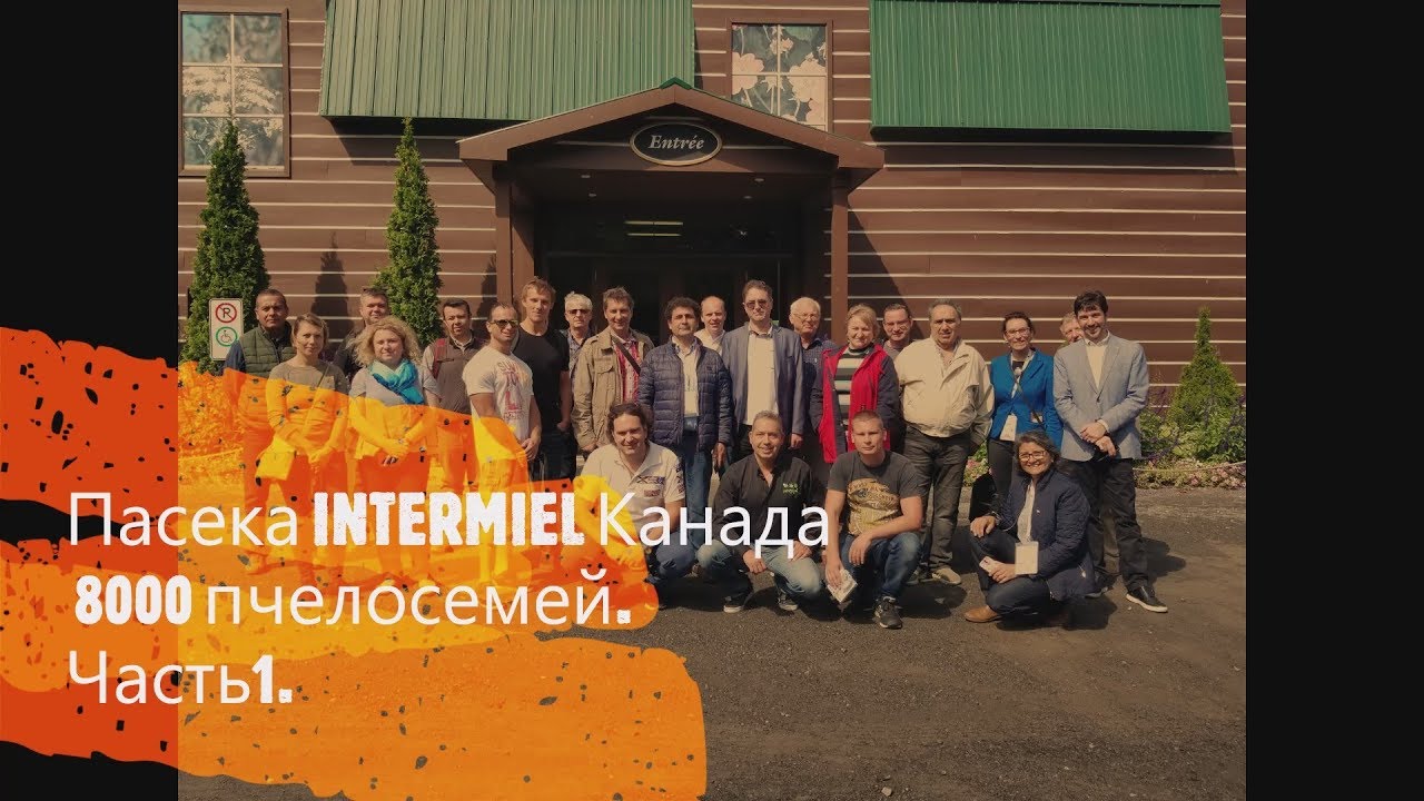 Промышленная пасека INTERMIEL, в Канаде. 8000 пчелосемей. Часть1.