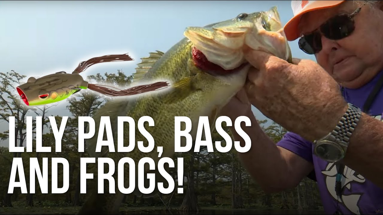 Lily Pads, Bass and Frogs!