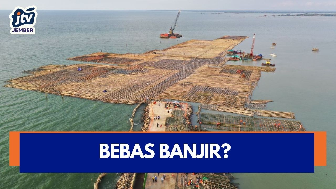 [LIVE] 10 Juta Bambu Perkuat Tol Semarang–Demak, Seksi 2 Kini Bebas Banjir!