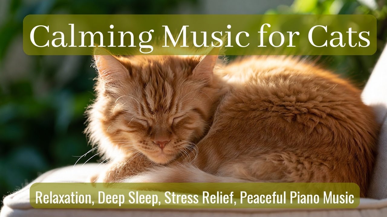 Calming Music for Cats - Relaxation, Deep Sleep, Stress Relief, Peaceful Piano Music | Season 25