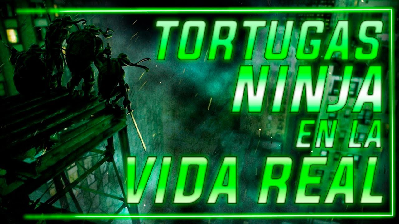 ¿Qué pasaría si las TORTUGAS NINJA existieran en la VIDA REAL? ft. @César Comenta