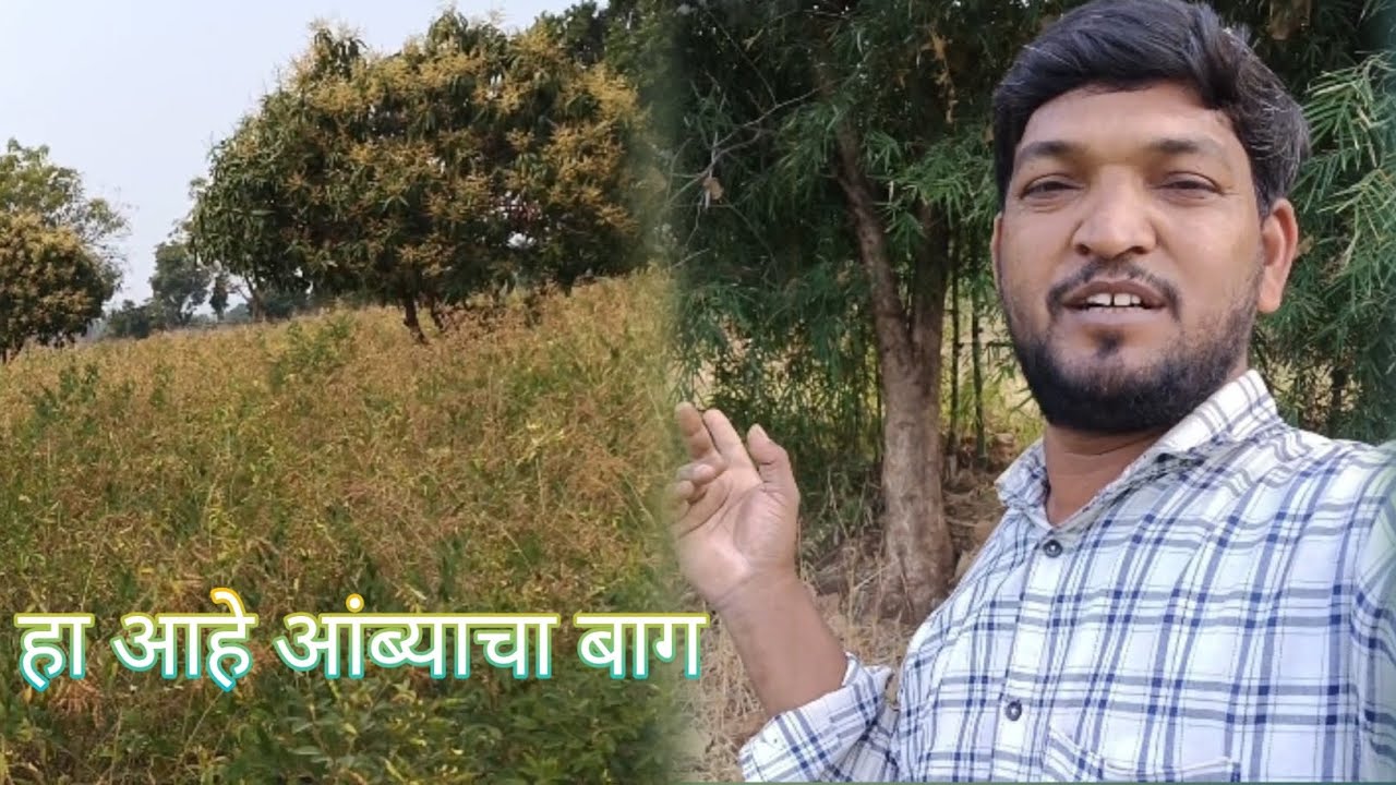 आज तुम्हाला दाखवत आहे शेती ||Marathi Vlogs|| Stets Gujarat 