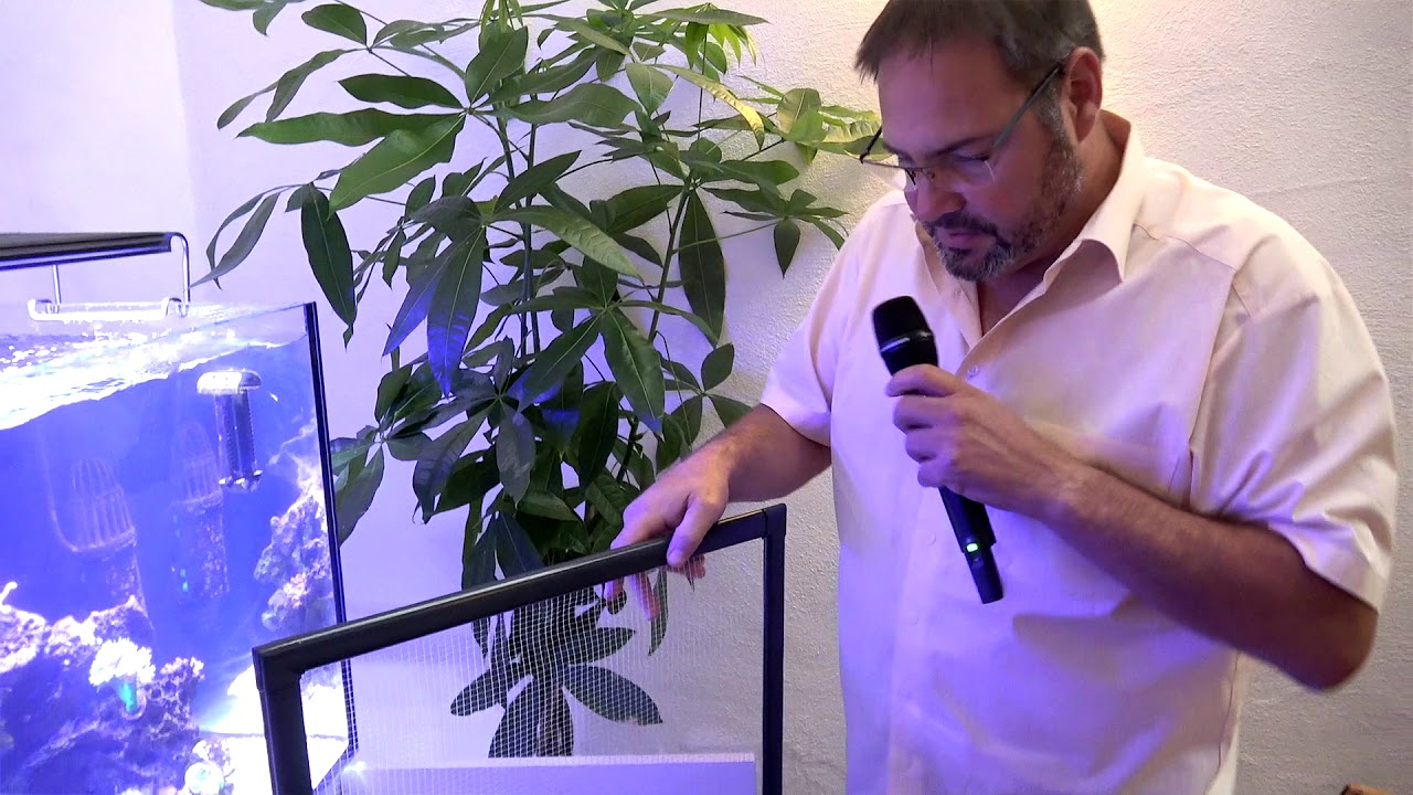 Showtank Teil 21:Cyanobakterien, Fische, DIY Netzabdeckung