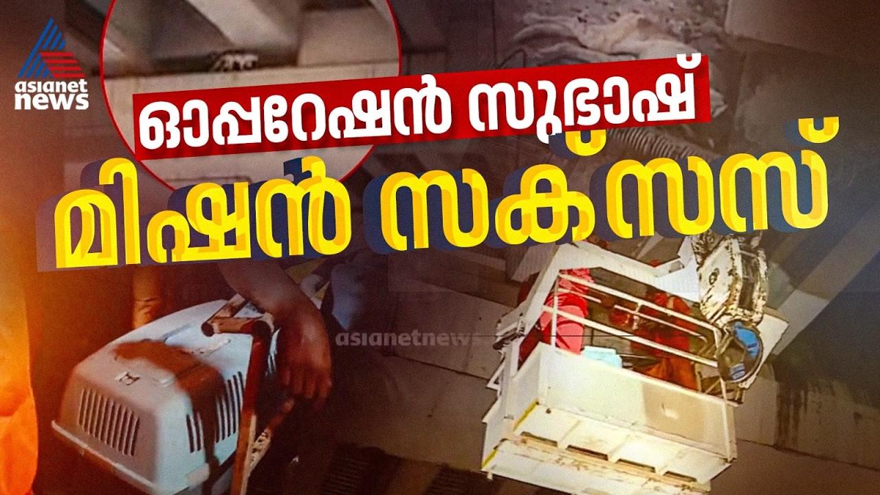 ഓപ്പറേഷൻ 'സുബാഷ്' വിജയം; ഒരാഴ്ചയോളം മെട്രോ തൂണിൽ കുടുങ്ങിയ പൂച്ചയെ രക്ഷിച്ചു