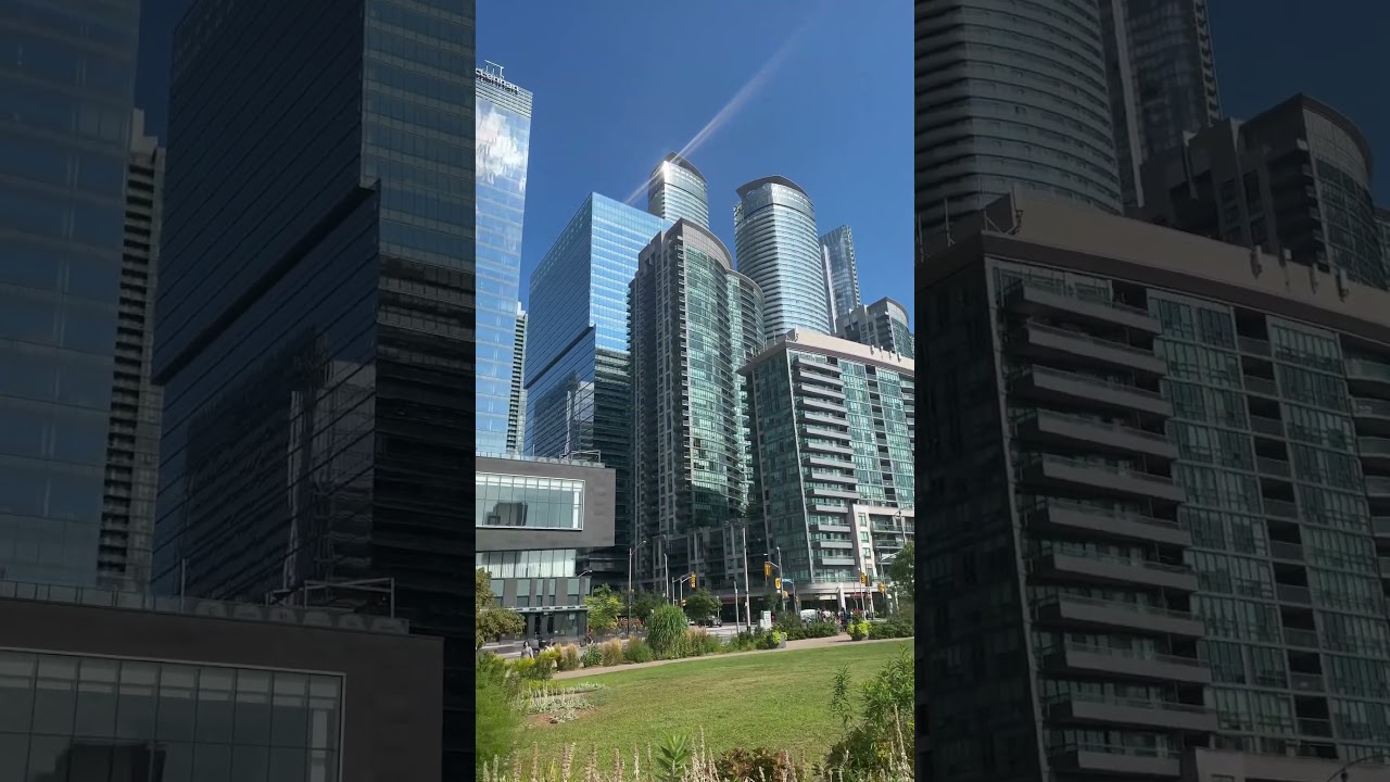 The Best Way to Relax After Photographing Toronto