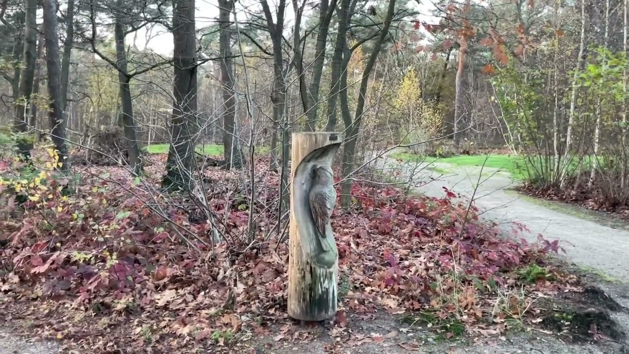 Kamperen bij de Boswachter