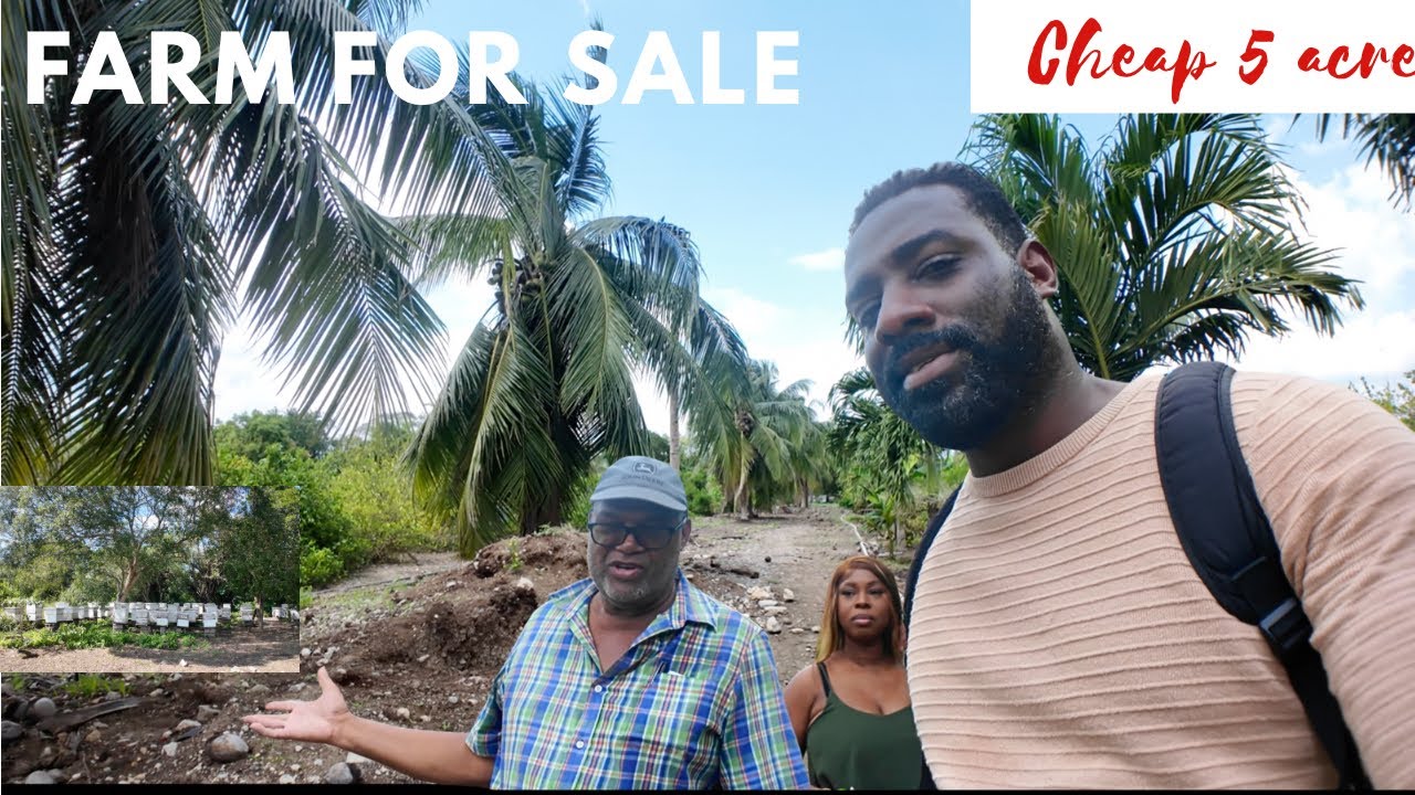 Tour of this 5 Acre Farm for sale complete with all amenities l Investment  Opportunity