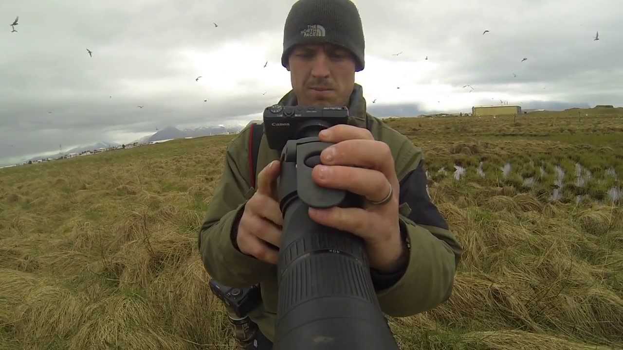 The Ice Road Birders