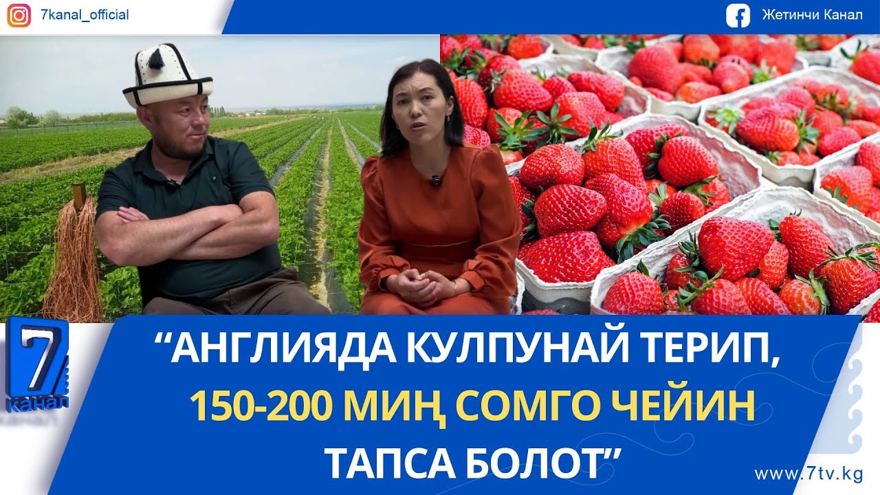 АНГЛИЯДА ИШТЕГЕН ЖУБАЙЛАР