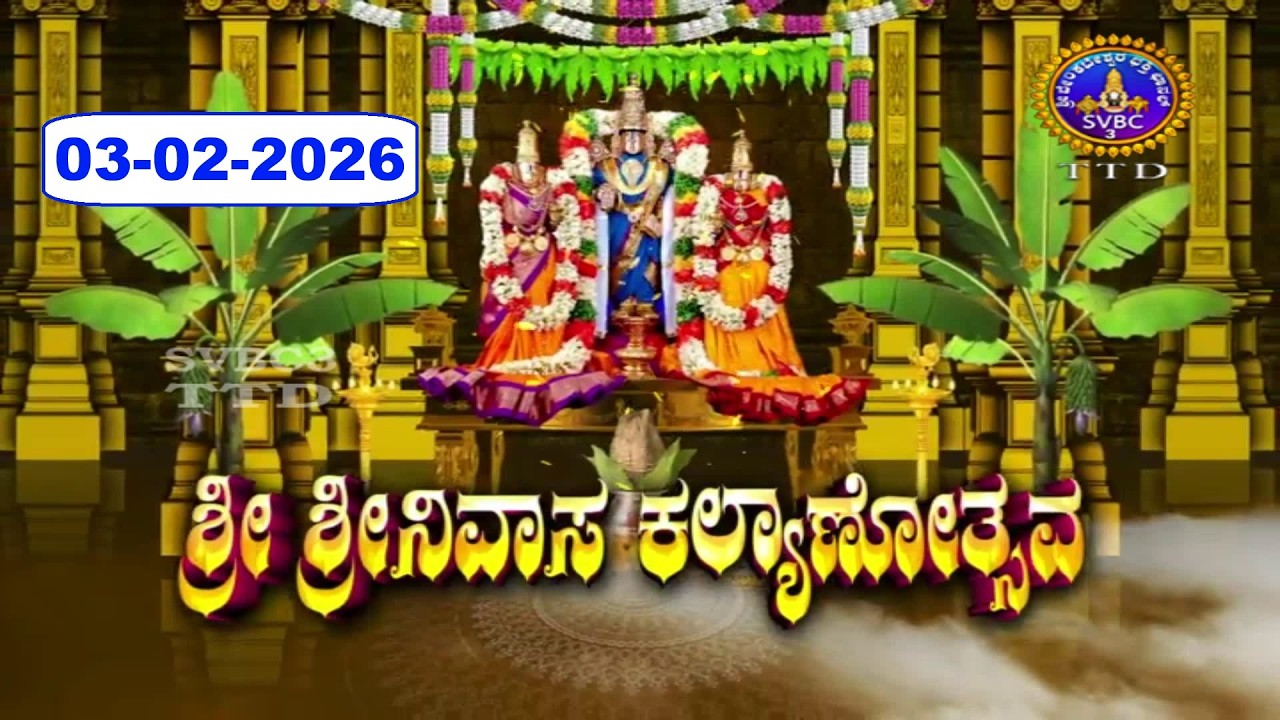Srivari Kalyanotsavam || Tirumala || 03-02-2026 || SVBC3 Kannada || SVBC TTD
