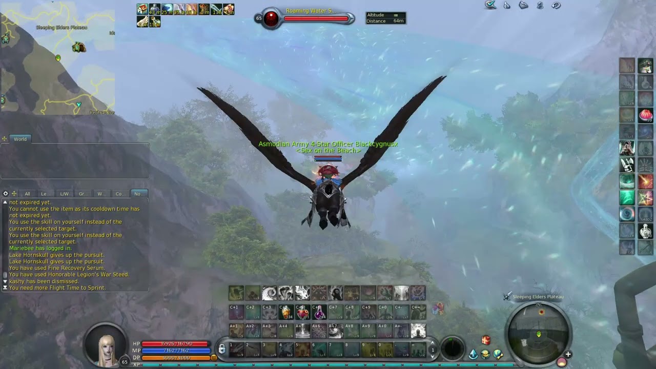 Euro Aion 4.6 Gaming Cleric an night run