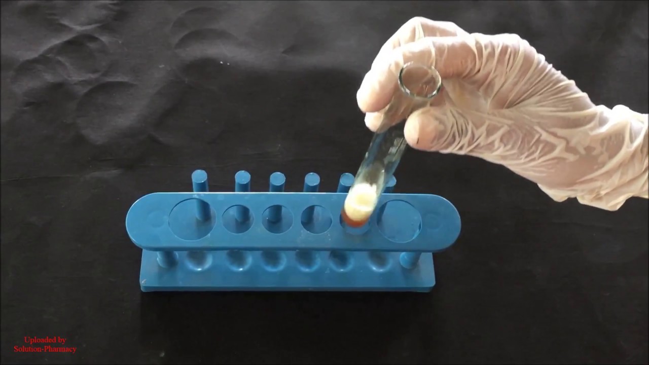 Saponin Foam Test | Saponin Identification Test | Phytochemical Test for Saponin | ENGLISH