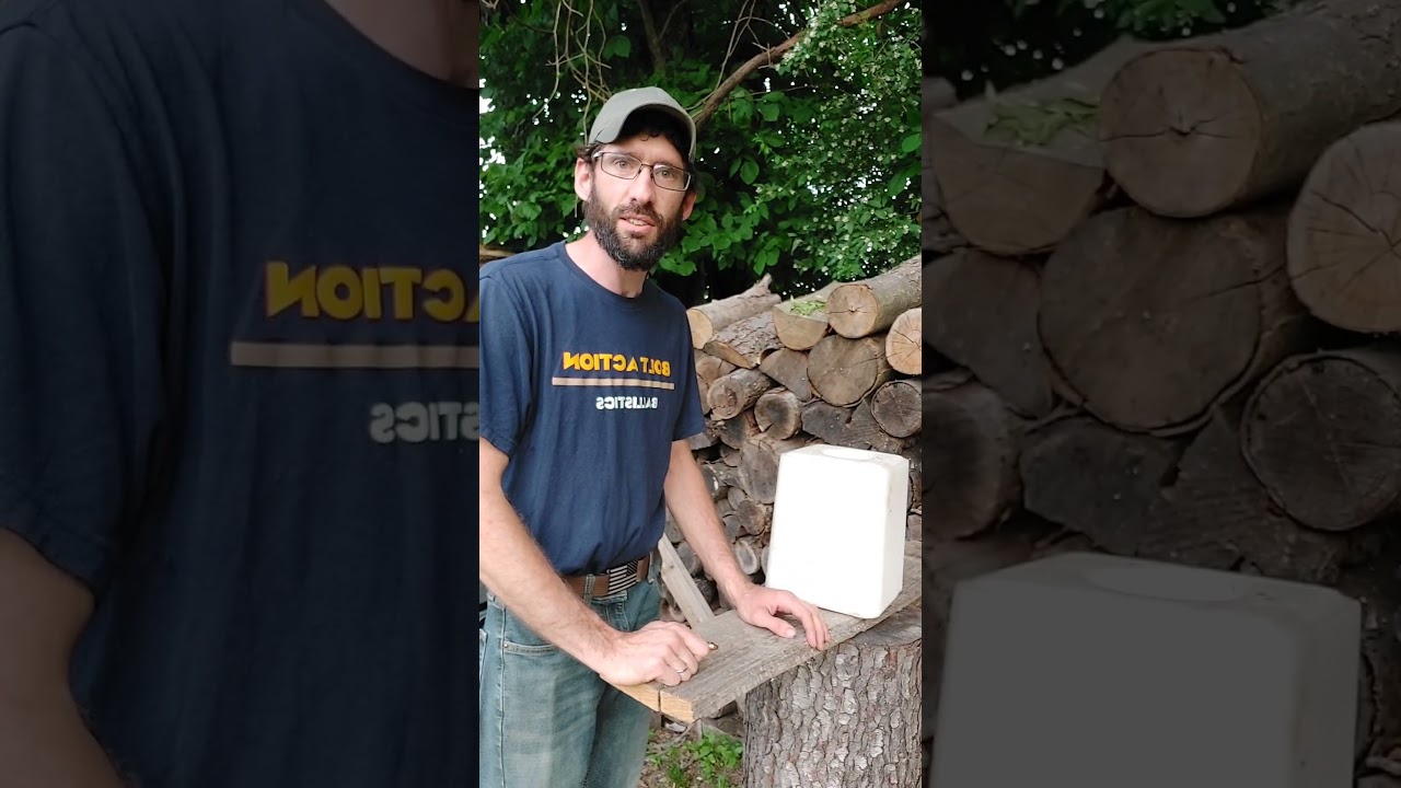 450 Bushmaster vs. Salt Block. 