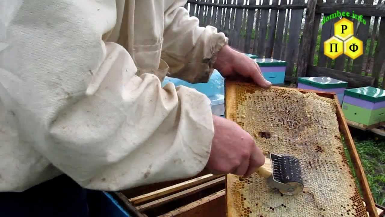 Пчеловодный пасечный ёж для распечатки сот