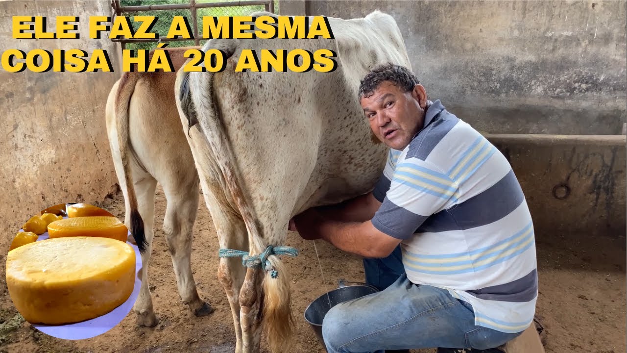 TODOS OS DIAS FAÇO QUEIJO FRESCO MINEIRO