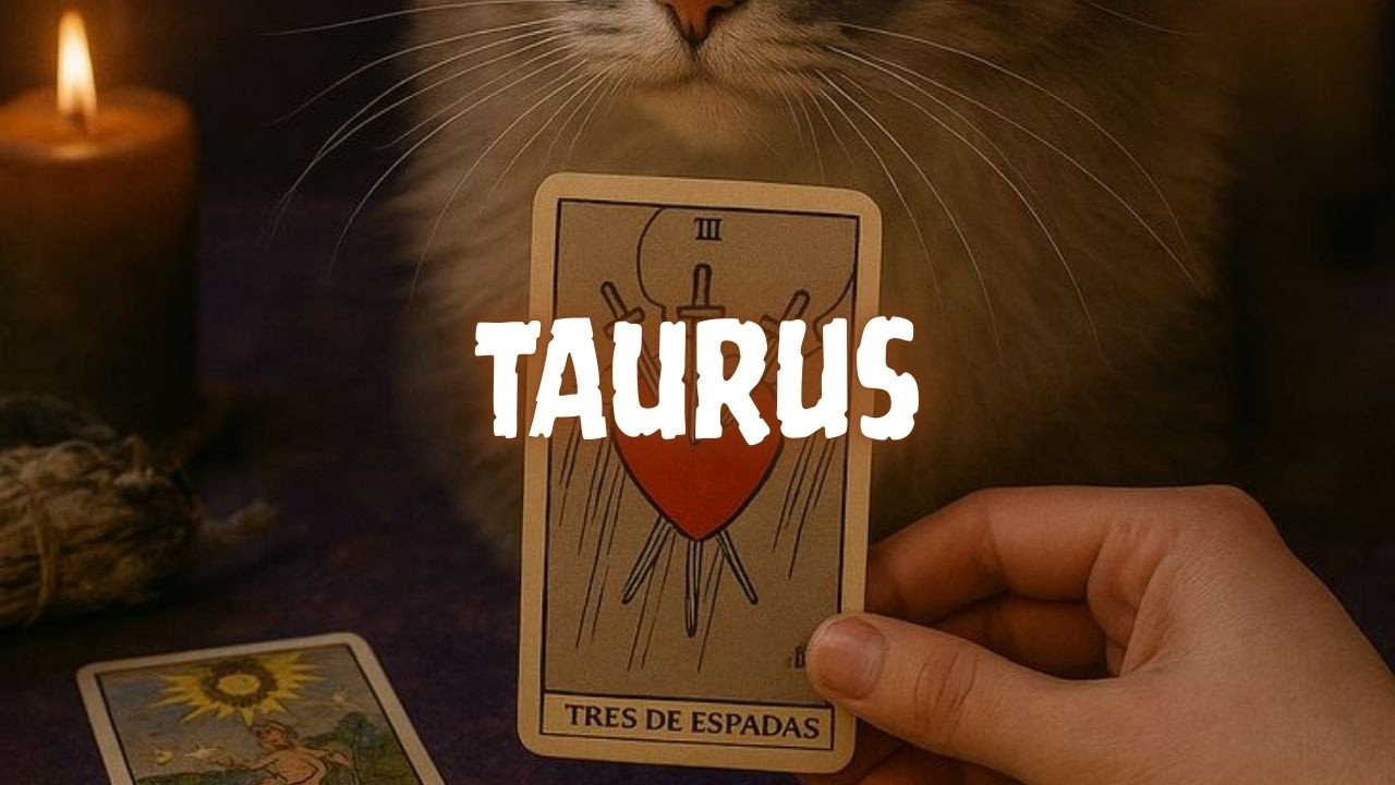 TAURUS🤑 You’ll Become a Multi-millionaire & You're Gonna Receive a MSG Or Call From This Person