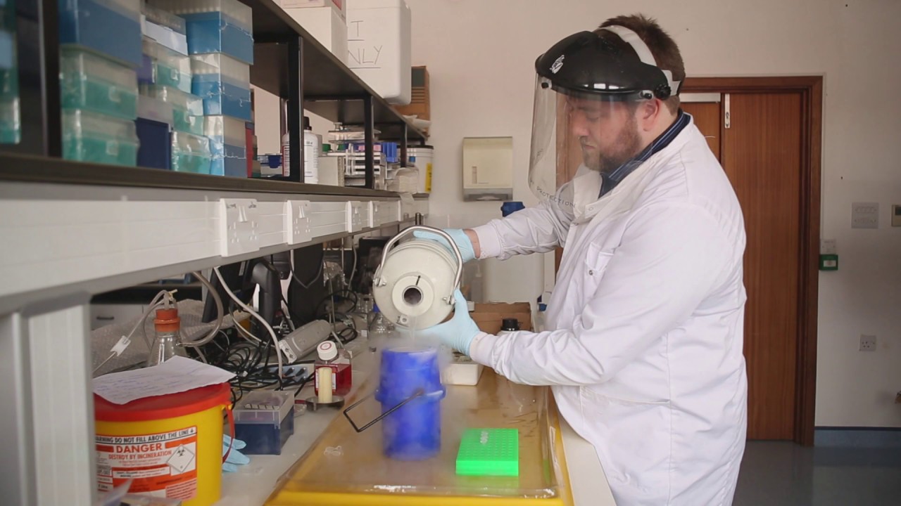MRes Biomedical Science at St George's, University of London