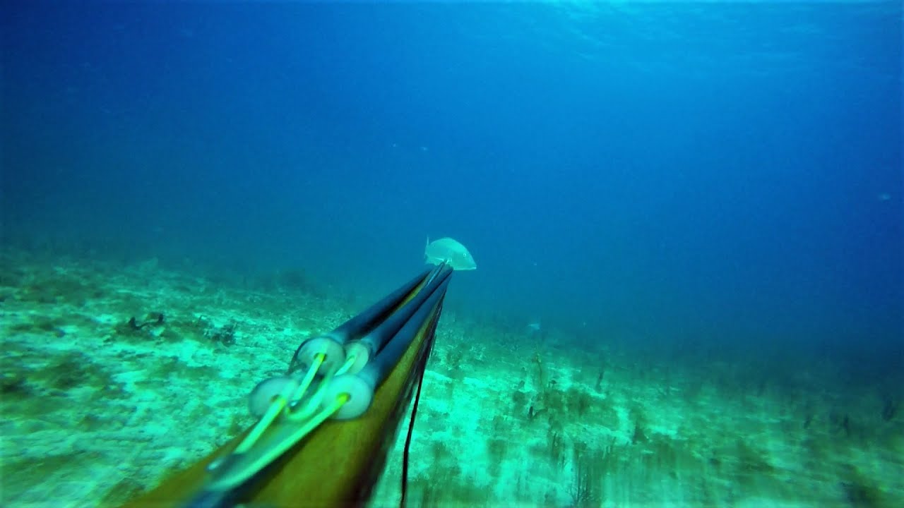 Spearfishing Guadeloupe Désirade vol 3