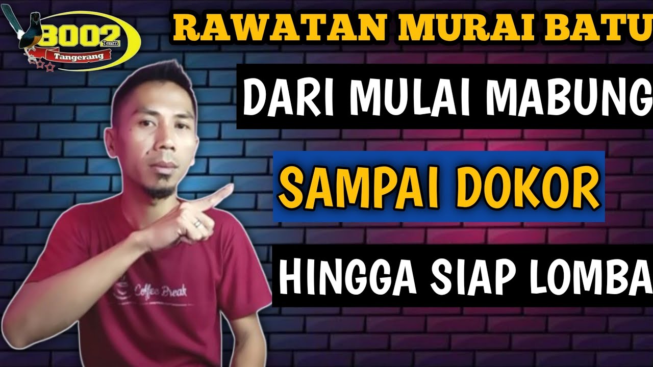 rawatan burung mabung dorong ekor hingga kondisi