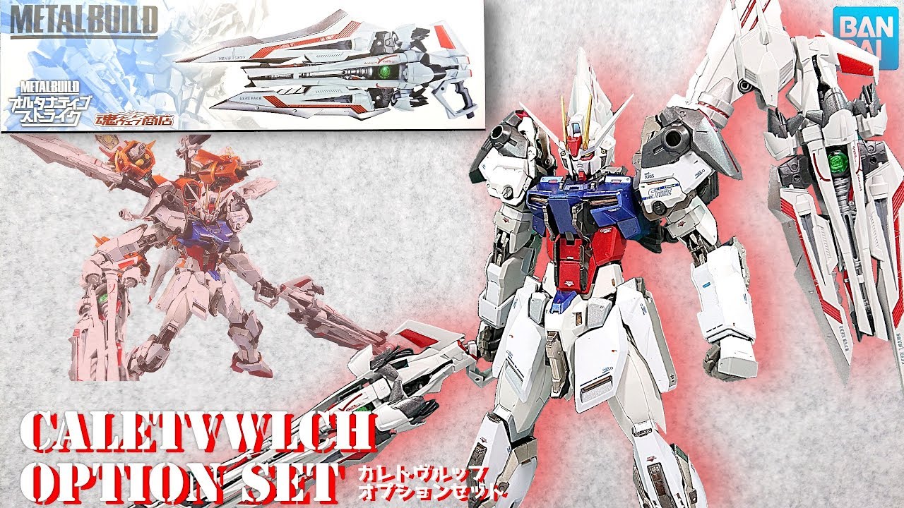 (METAL BUILD) 究極の柔軟性を持つ「聖剣」！ オルタナティブストライク カレトヴルッフオプションセット  ALTERNATIVE STRIKE CALETVWLCH OPTION SET