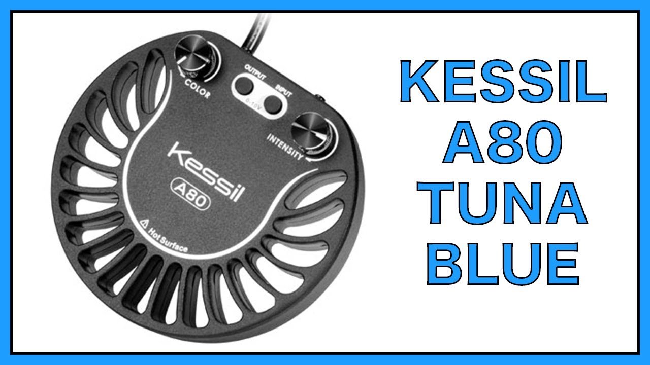 Kessil University- A80 Tuna Blue