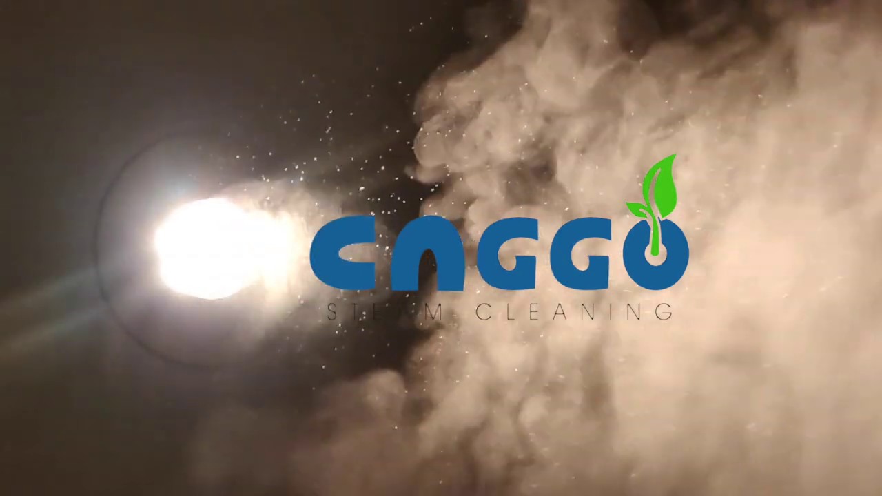 Caggo Steam Services - House Steaming & Sanitization ,Complete Solution for Home/Office Cleaning