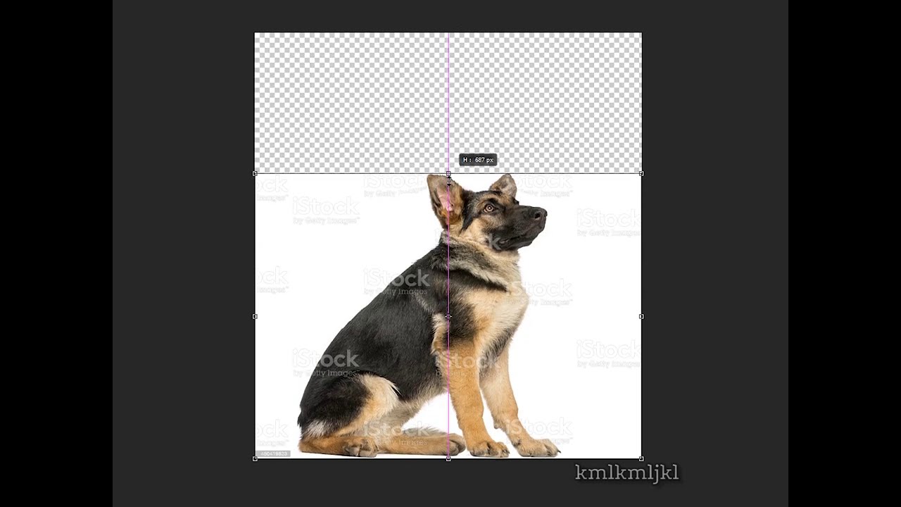 epic dog