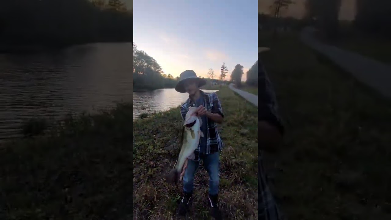Catching spawning bass off its bed 