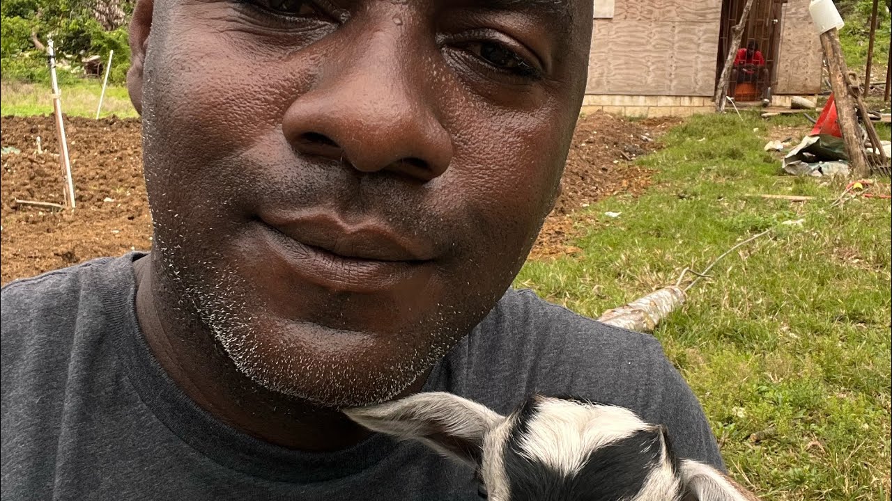 Rebuilding my farm after the arcade, Melissa ￼🇯🇲