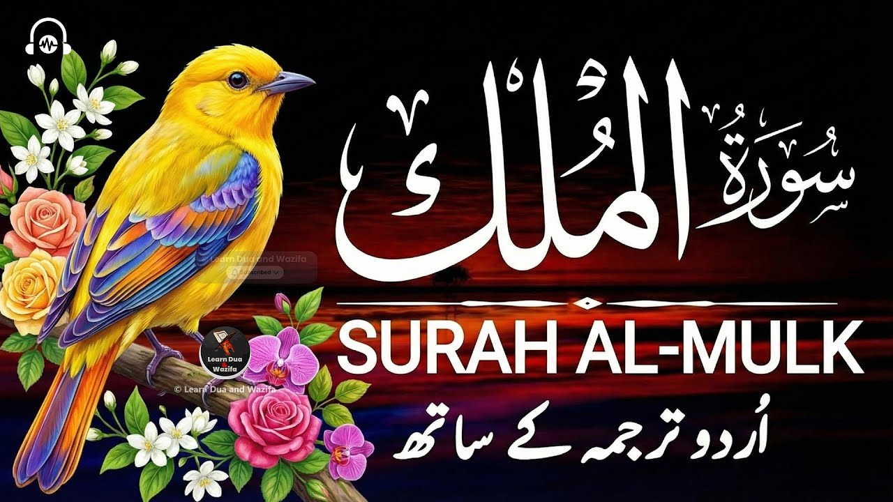 Surah Al-Mulk | Beautiful Quran Recitation for Sleep, Peace & Protection #surahmulk