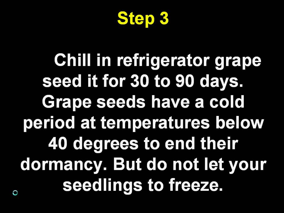 The Complete Grape Growing System
