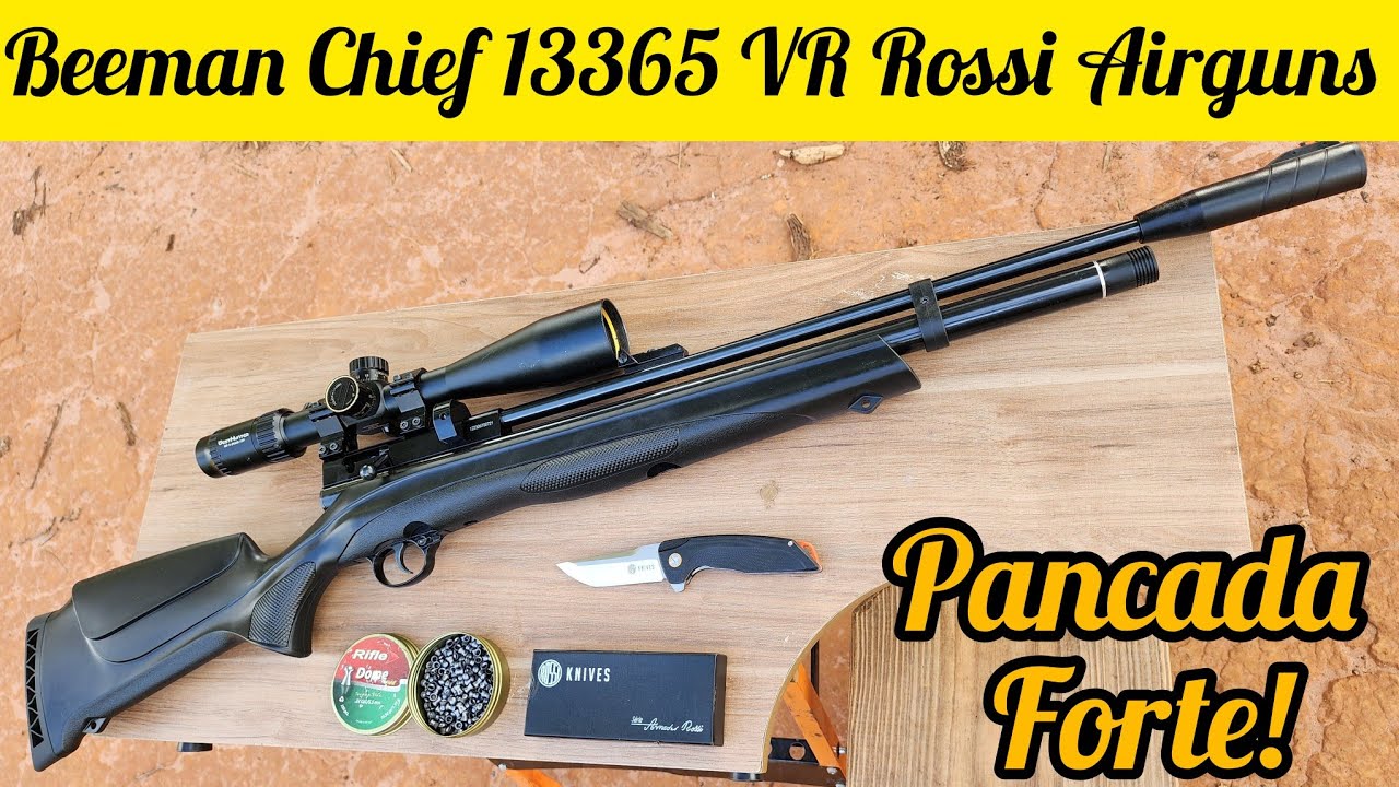 PRECISÃO EXTREMA: BEEMAN CHIEF 13365 VR COM LUNETA WHESTHUNTER 6-24x50FFP - DESAFIO A 50 METROS!