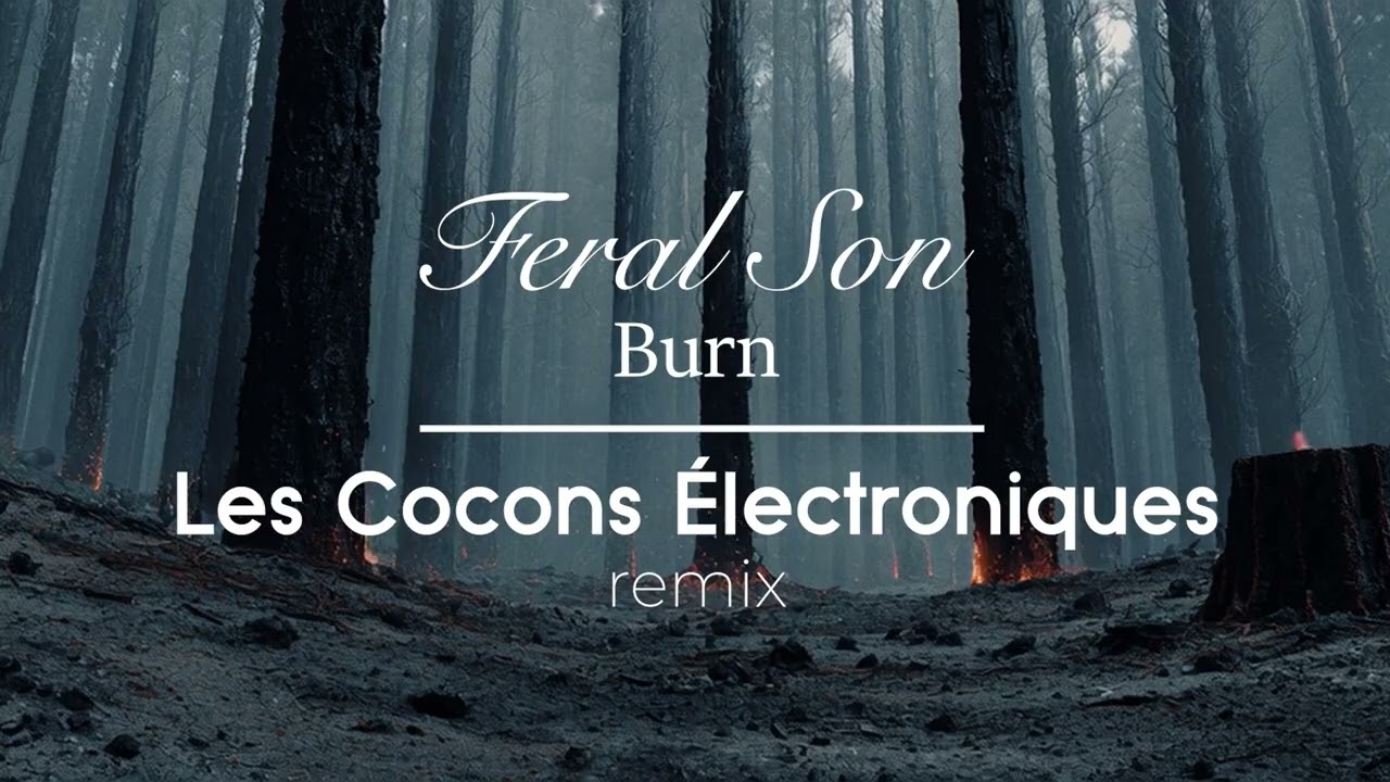 Feral Son - Burn (Les Cocons Électroniques remix)