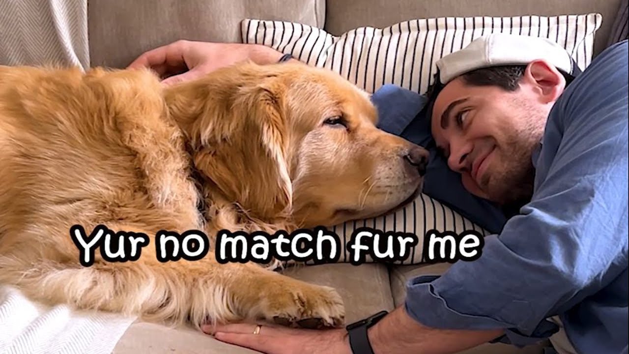 7 Things My Dog Is The Greatest At