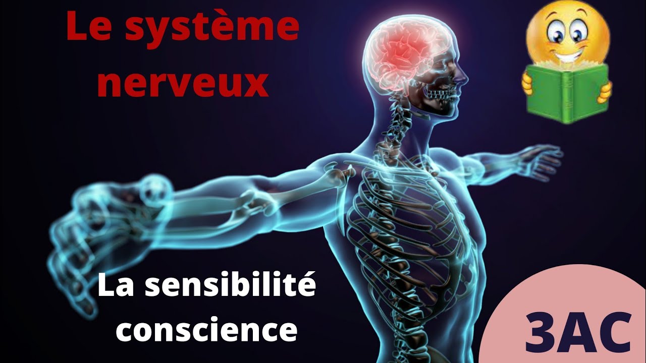 3AC: chapitre 1: le système nerveux ➡️ la sensibilité conscience 🔥 partie 1 (شرح شامل و بسيط)