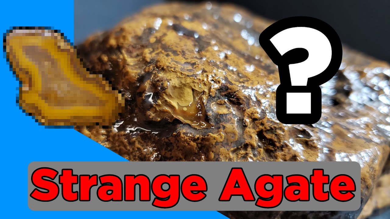 Unusual Kentucky Agate Looks Like Tiny Ham - What's Inside It?