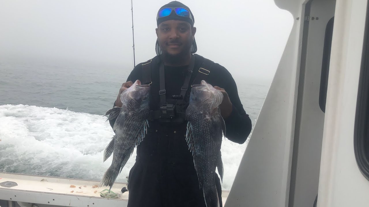 Part 1: Sea Bass and Porgy Slaughter in Yarmouth, Massachusetts!