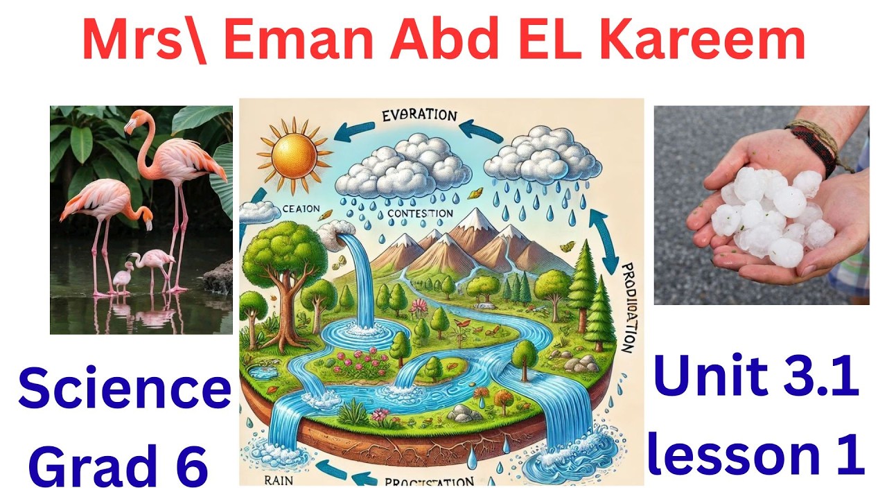 science grad 6 - lesson 1 - water cycle - 2nd term