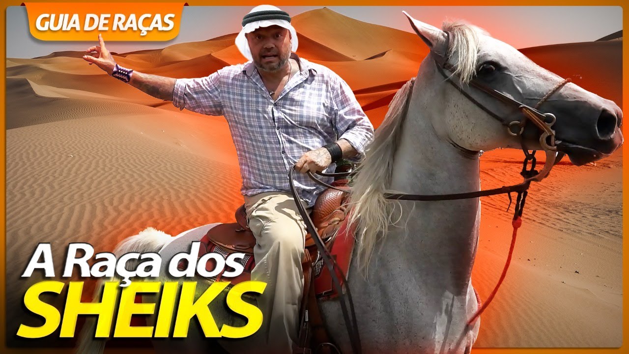 CAVALO ÁRABE, O CAVALO DOS PRÍNCIPES! | GUIA DE RAÇAS