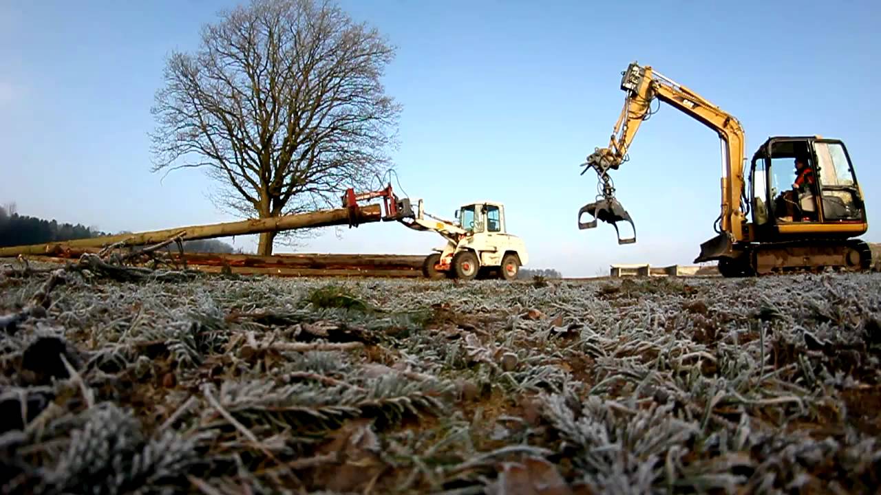 Holz poltern 7