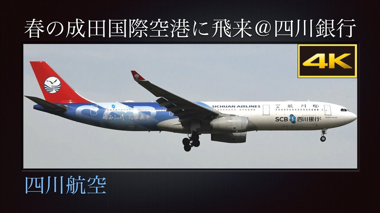 4K 成都天府国際空港から春の成田国際空港に飛来  四川銀行(Sichuan Bank : SCB)  四川航空(Sichuan Airlines)  Airbus A330-343X  B-8690