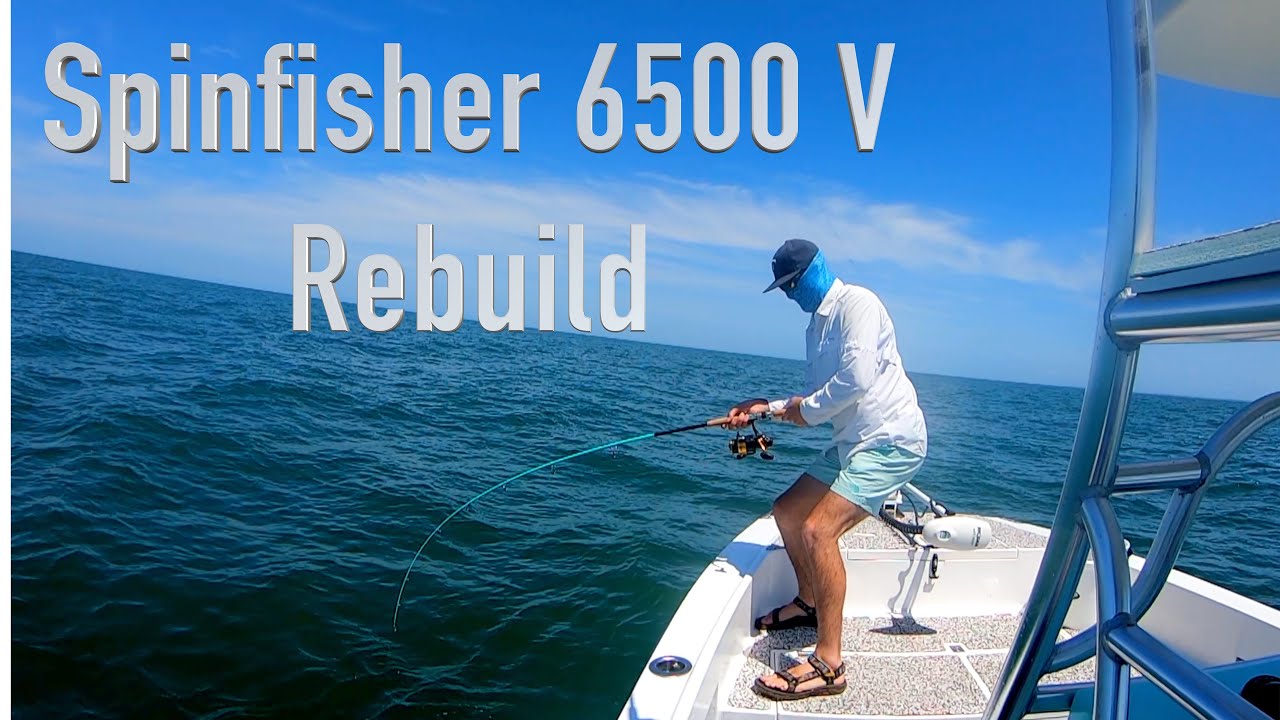Rebuild Penn 6500 V Spinfisher