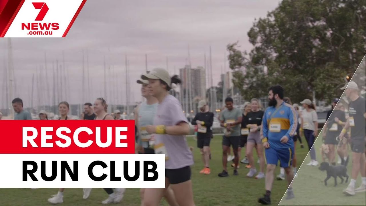 Nedd Brockmann launches rescue dog run club | 7NEWS