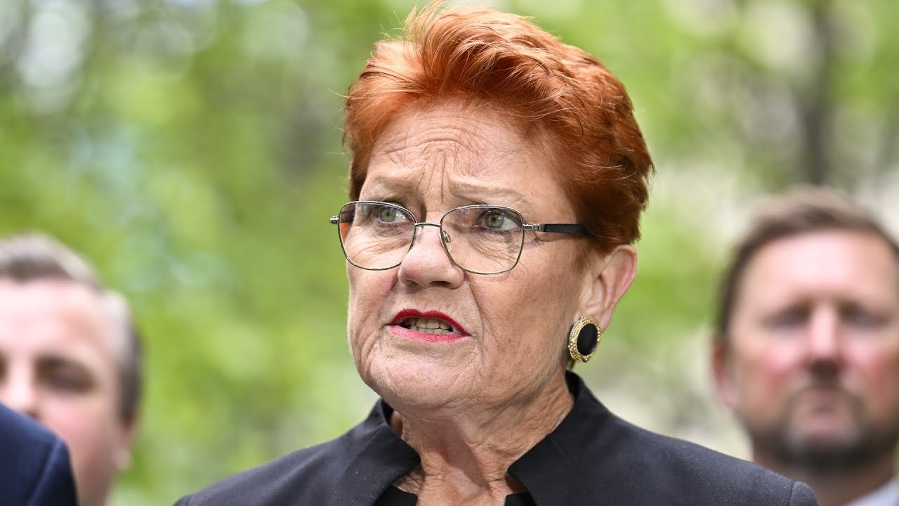 ‘Nothing stopping us’: Pauline Hanson visions One Nation forming opposition