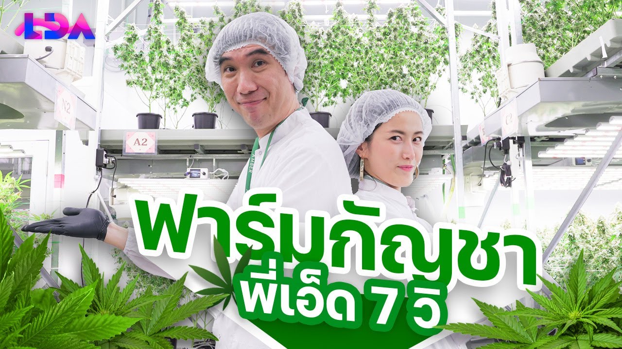 เปิดฟาร์มกัญชา ไฮเทคระดับท็อป by ‘ พี่เอ็ด 7 วิ ’✨| ล้วงลับ Disruption