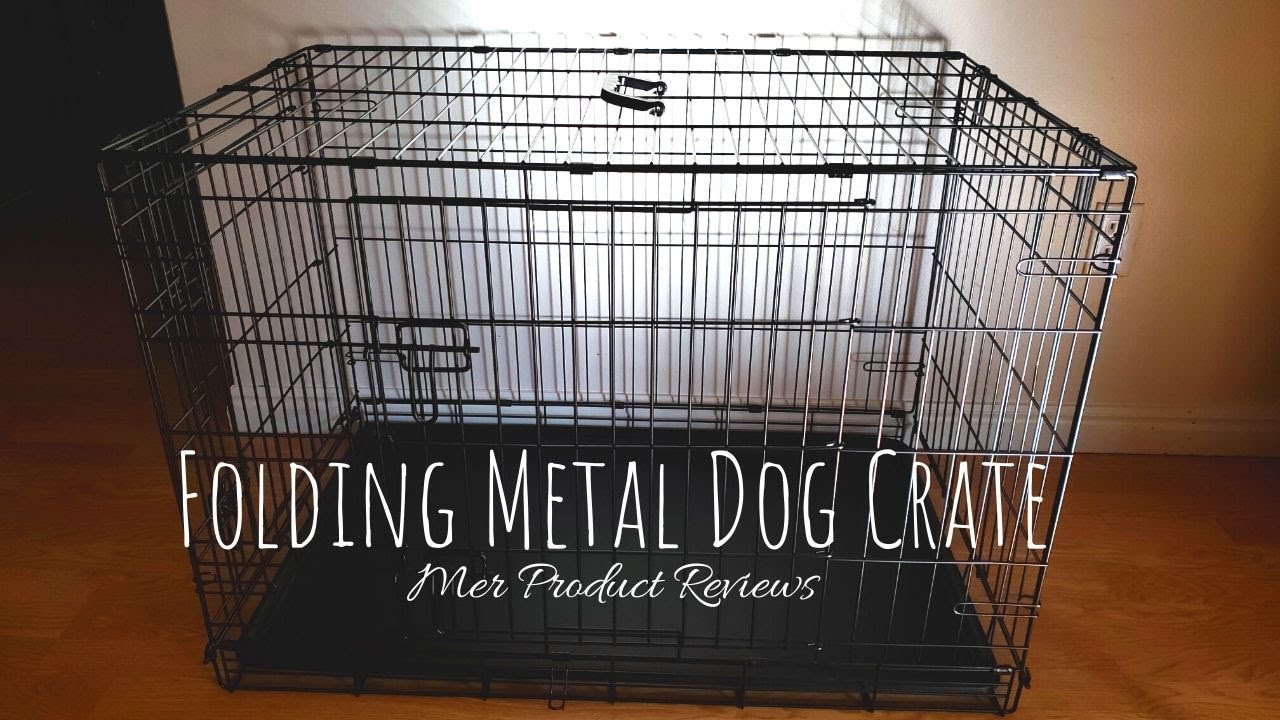 Amazon Basics Folding Metal Dog Crate Review and How to Keep a Clean Kennel