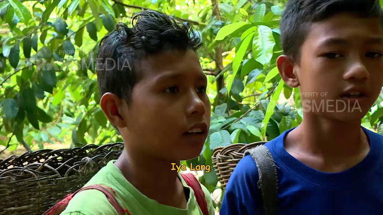 BOCAH PETUALANG - MUTIARA DARI ACEH SELATAN (8/5/17) 3-2